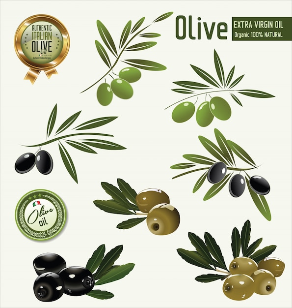 Olive hintergrund