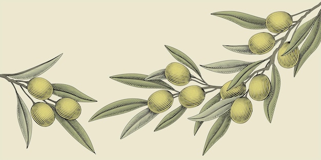 Olive Illustrationselemente im Retro-Holzschnitt-Stil für Designzwecke