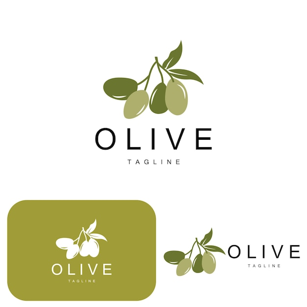 Olive, Logo, Olivenölpflanze, Vektor, Natürlich, Kräuter, Gesundheit, Medizin, Design, Abbildung, Schablone, Icon