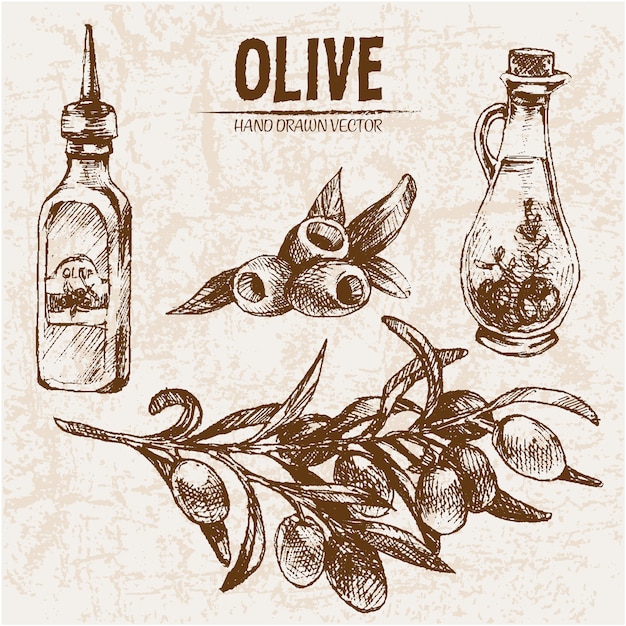 Olivenöl-Design