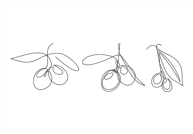 Olivenzweig-gravur-vektor-illustration. grafische olivenkollektion. eine linie