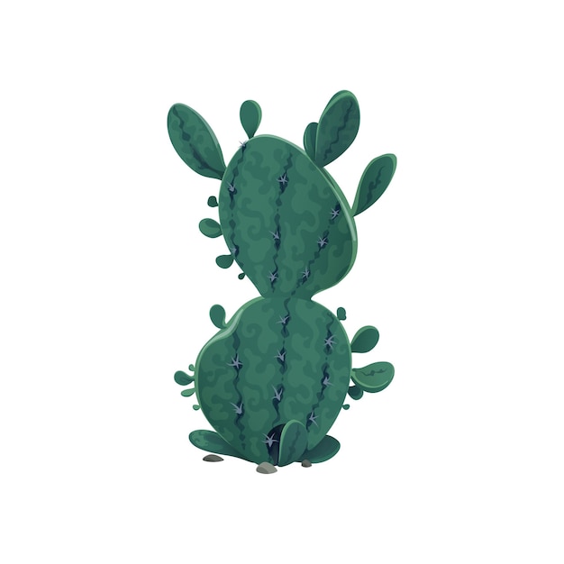 Opuntia chlorotica cactaceae kaktus isolierte pflanze