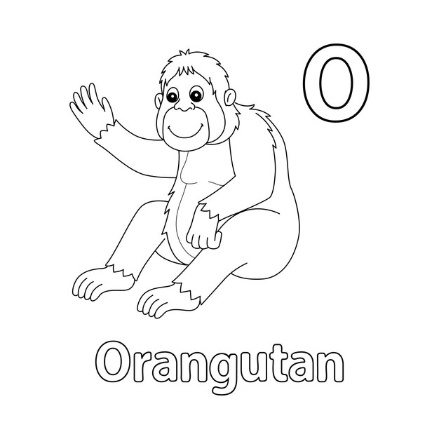 Orang-Utan-Alphabet ABC isolierte Malvorlage O