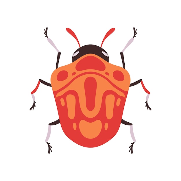 Orange bug top view flachvektor-illustration auf weißem hintergrund