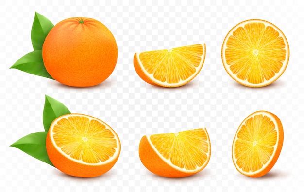 Orange mit Blättern halber Scheibenkreis und ganze saftige Frucht isoliert auf weißem Hintergrund Realistisches 3D-Vektor-Zitrus-Set