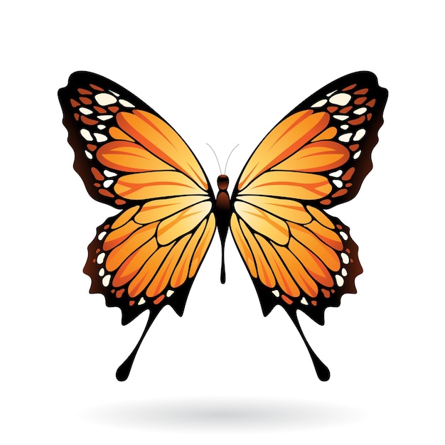 Orange und schwarze Schmetterlings-Illustration