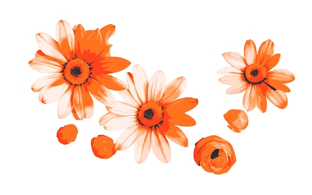 Orangefarbene Blumenelemente für Verpackungen, Tapeten, Postkarten, Grußkarten, Hochzeitseinladungen