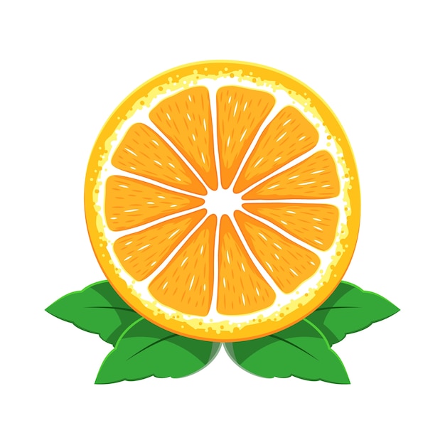 Orangenfrucht geschnitten vektor