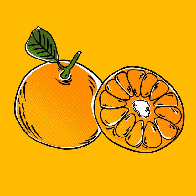Orangenfrucht-vektor-freier bild-vektor
