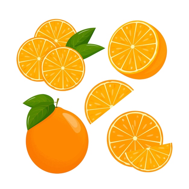Vektor orangenfrüchte orangen, die auf einem weißen hintergrund segmentiert sind, saftige saisonfrüchte zitrusfrüchte