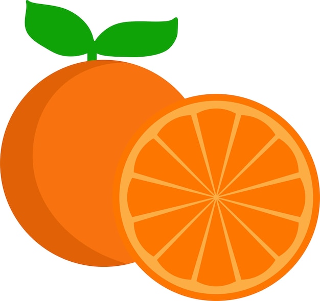 Vektor oranges in der farbe.