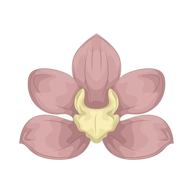 Orchideen