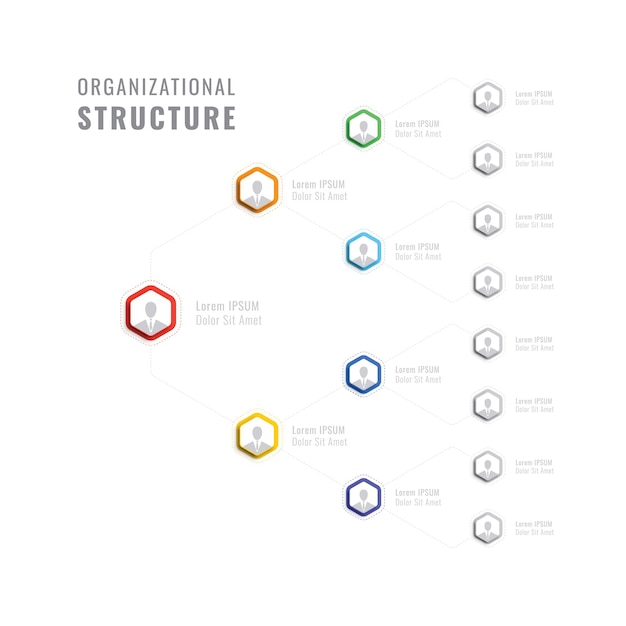 Organisationsstruktur der sechseckigen infografik-elemente der unternehmenshierarchie