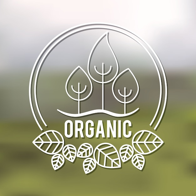 organisches Produktdesign