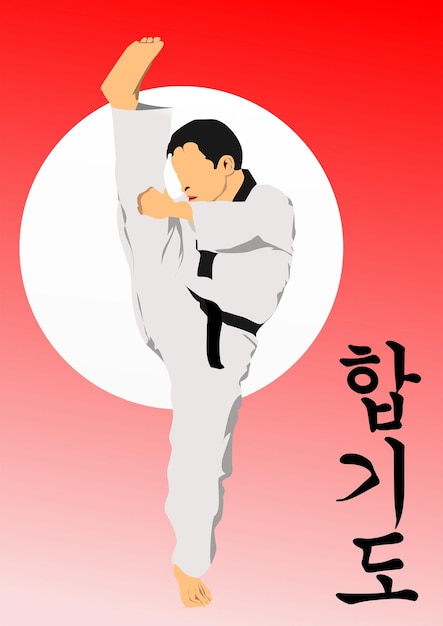 Orientalische Kampfsportarten Hapkido Farbige 3D-Vektorillustration