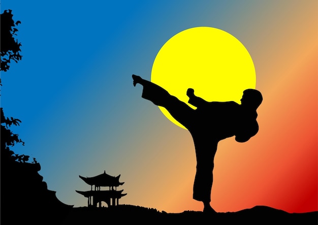 Orientalische Kampfsportarten Wushu Farbige 3D-Vektorillustration
