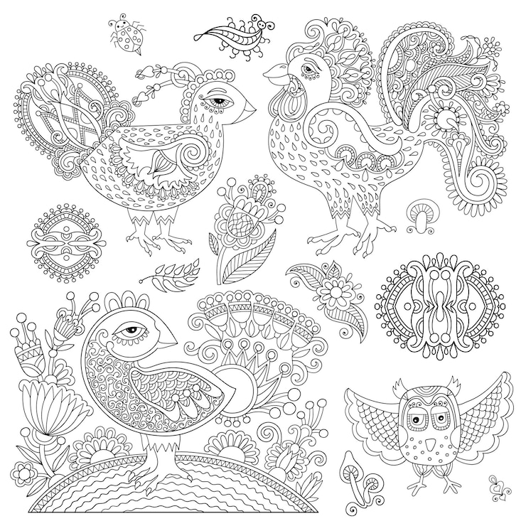 Vektor original schwarz-weiß-linien-kunst-hahn-zeichnungsseite von malbuch vogelfreude für ältere kinder