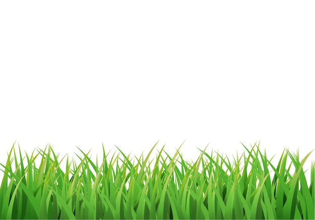 Ostern-Grasrand-Vektordesign isoliert auf Weiß