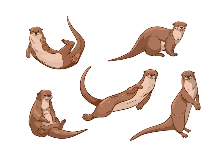 Vektor otter-satz von vektorillustrationen