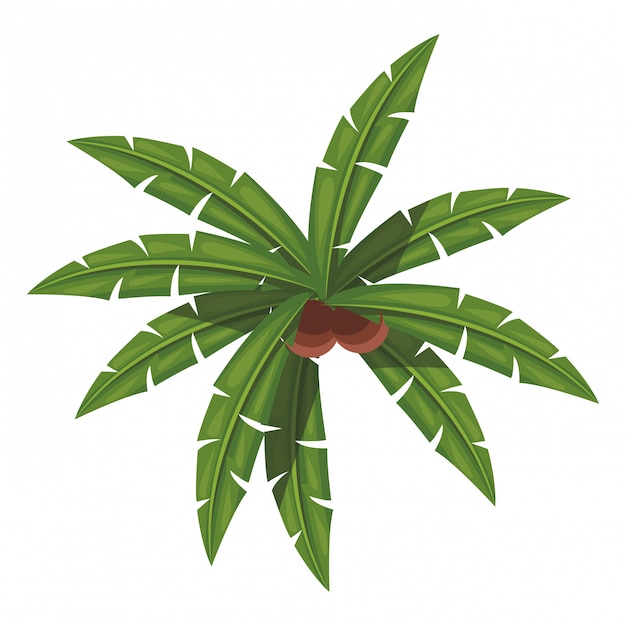 Palm verlässt symbol