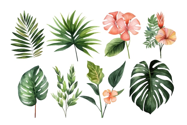 Palmblätter und Blumenset Natur botanische dekorative Sammlung Vektorillustration isolierte Sammlung tropisches Blattset