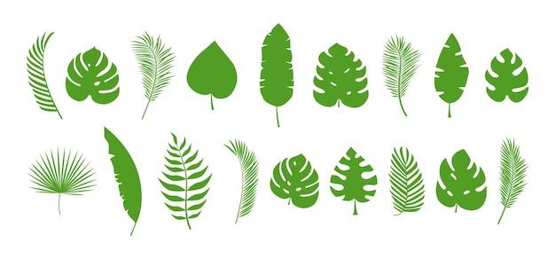 Palmblattlinie-Symbol Tropische Pflanzenumriss-Design schwarzes Doodle-Dschungel Blumenvektor-Illustration