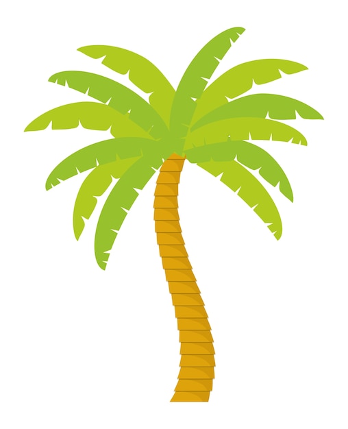 Palme tropische natur sommer strand pflanze symbol