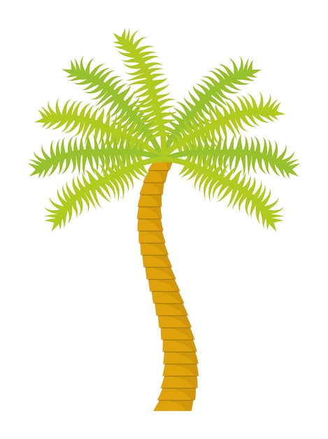 Palme tropische natur sommer strand pflanze symbol