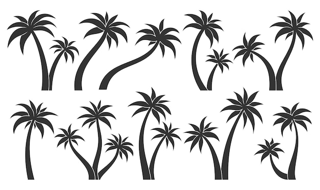 Palme tropische pflanze blattstempel schwarzes glyphen-set