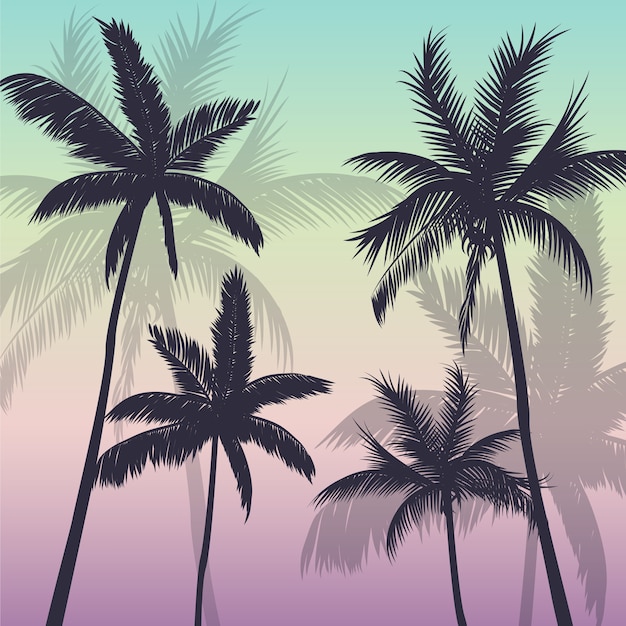 Palmen Hintergrund