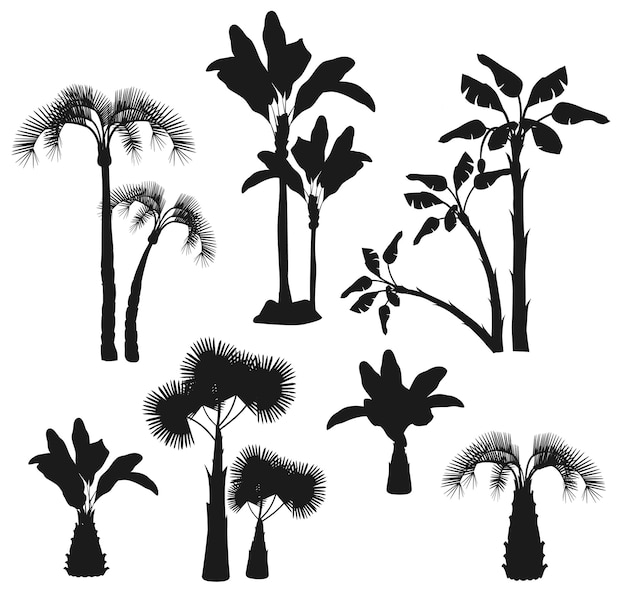 Palmen tropische Pflanzen Sammlung - Garten Brasilien California Vector Silhouetten