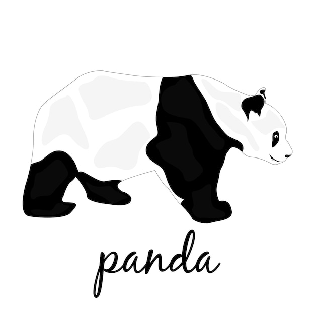 Vektor panda auf weißem hintergrund riesenpanda in einem bambuswald bedrohte tiere natürliche freiflächen