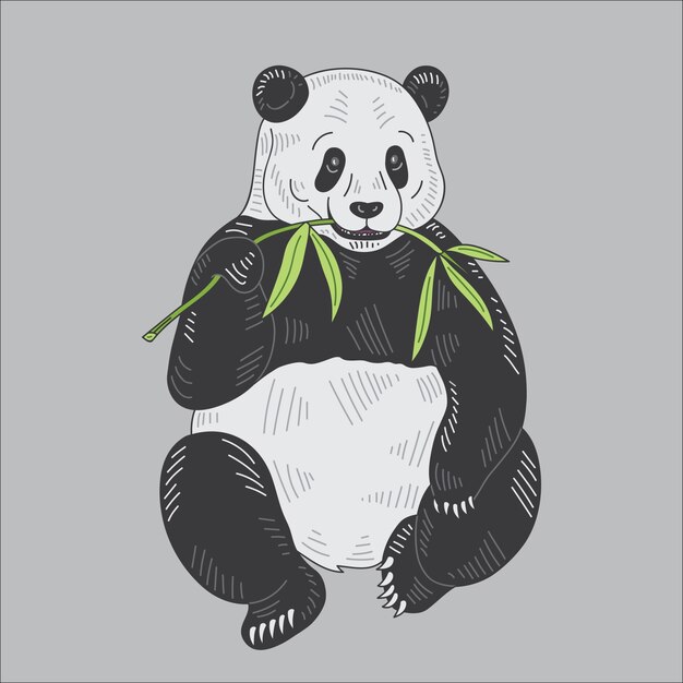 Panda-Vektor-Illustration