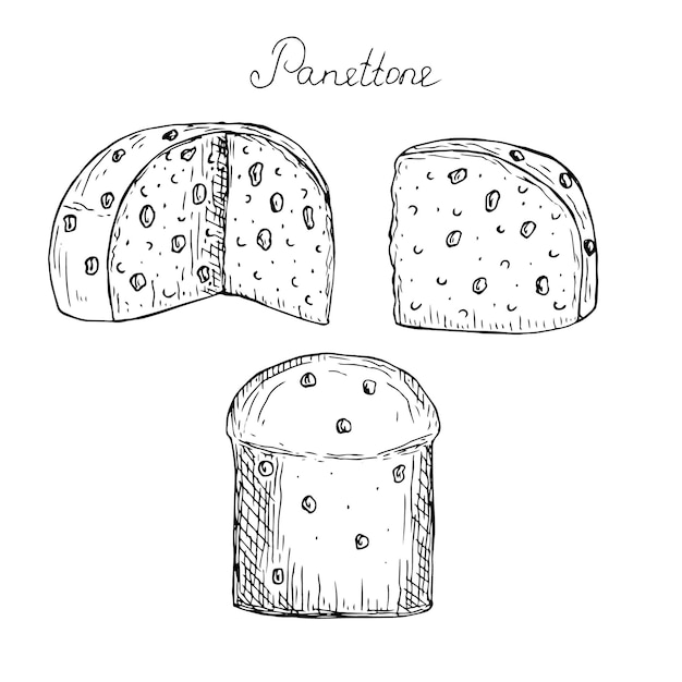 Panettone Set Vektor Illustration Handzeichnung Skizze