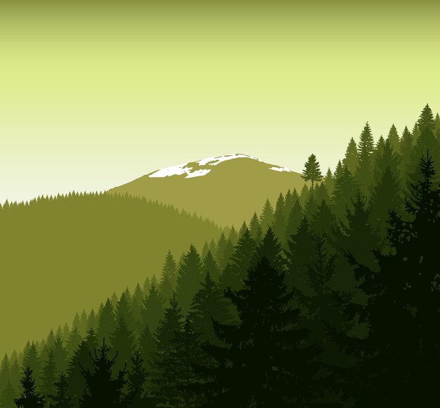 Vektor panorama der berge silhouette grüner berge mit schnee und nadelbäumen
