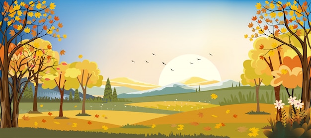 Panoramalandschaften des Herbstbauernhoffeldes mit den Ahornblättern, die von den Bäumen, Herbstsaison am Abend fallen.