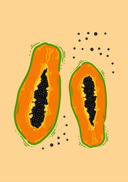 Papaya-frucht-gemüse-cartoon-vektor-illustration food-natur-icon-konzept isolierter premium-vektor