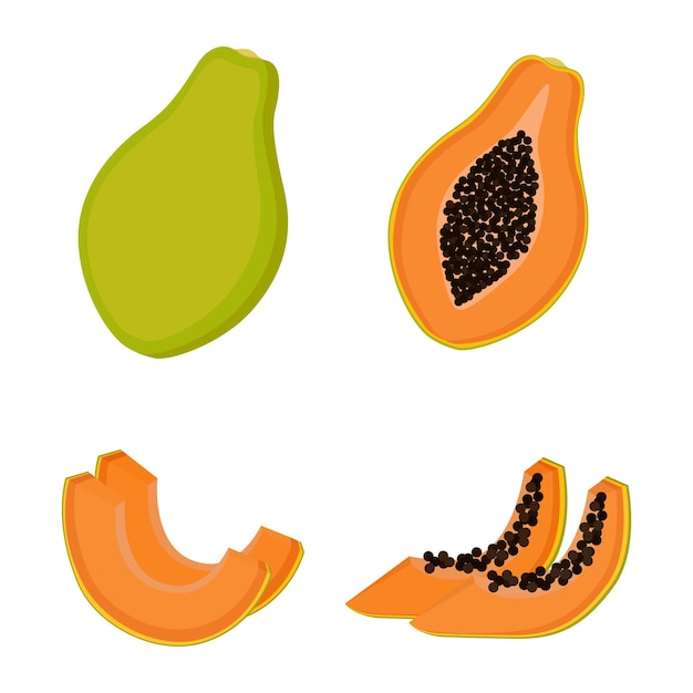 Papaya, ganze frucht, hälfte und scheiben. vektor-illustration