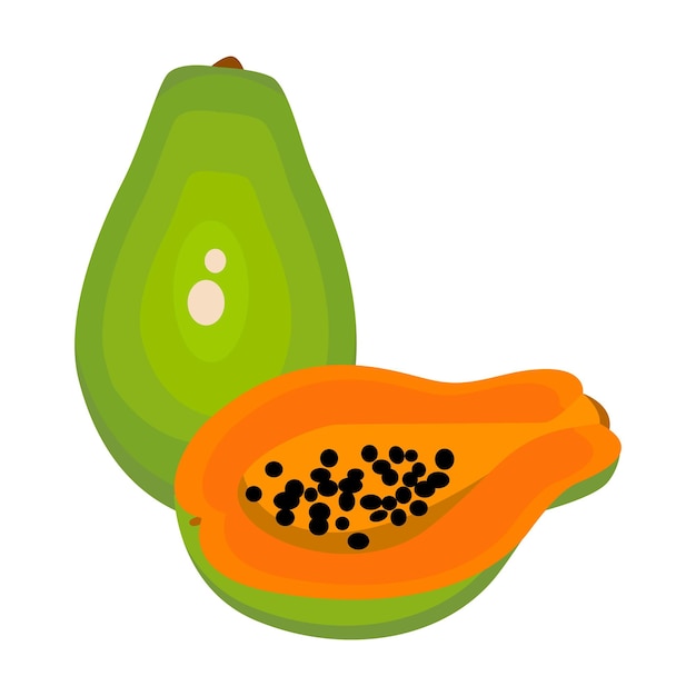 Papaya ganzer und halber vektor isoliert auf weißem hintergrund