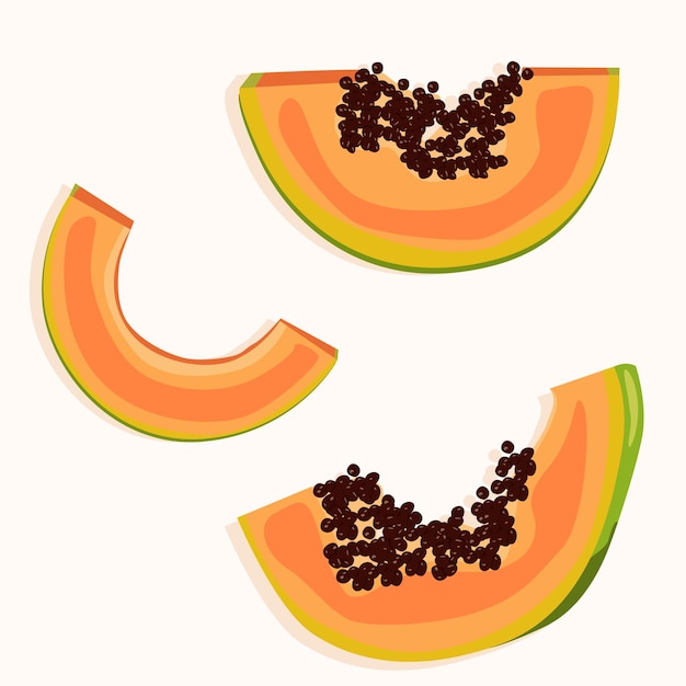 Vektor papaya in scheiben mit und ohne samen geschnitten