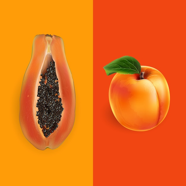 Papaya- und aprikosenillustration