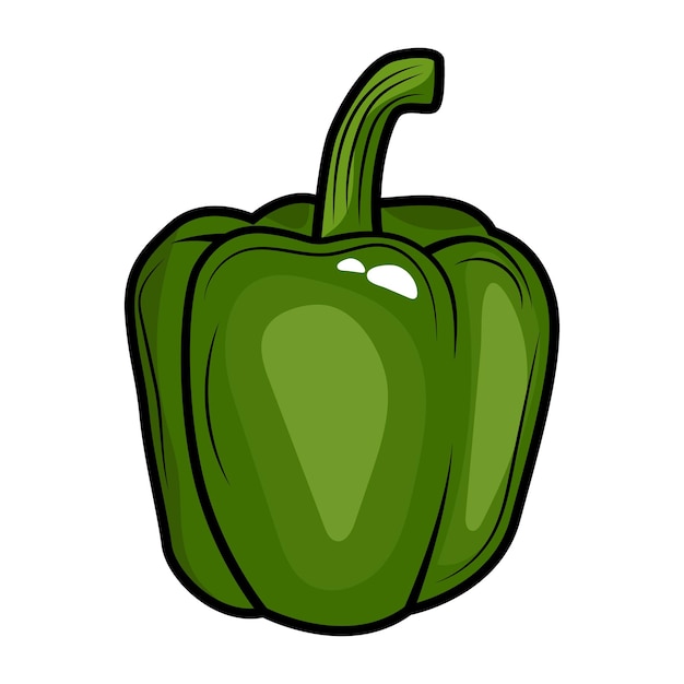 Paprika gravierte Zeichnungsvektorillustration