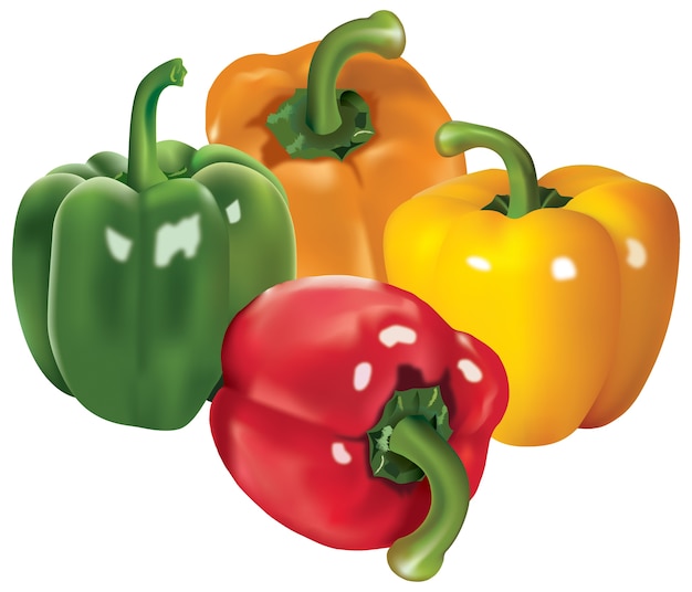 Paprika Realistisch
