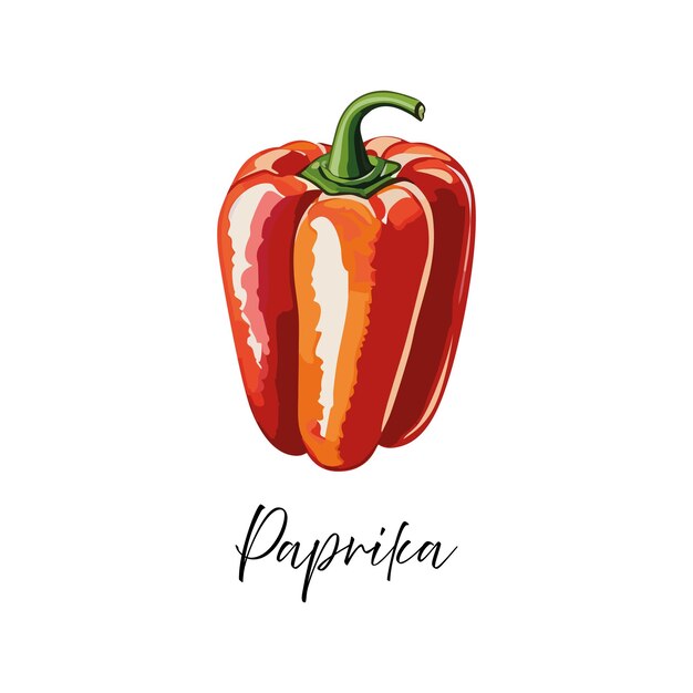 Vektor paprika-vektor-illustration