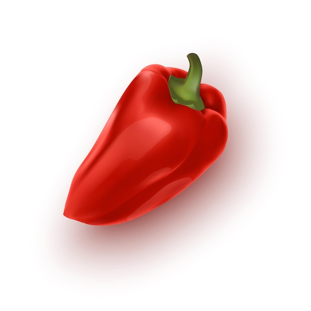 Paprika von roter farbe vektor-illustration isoliert auf weißem hintergrund