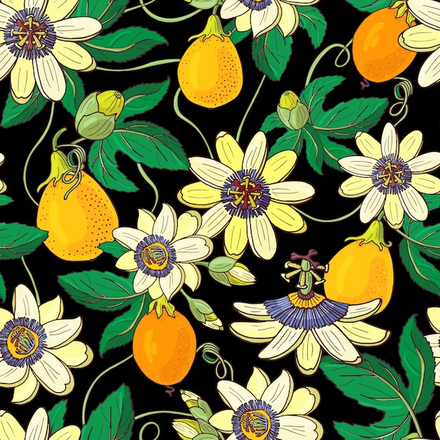 Passionsblume passiflora, passionsfrucht auf einem schwarzen hintergrund. blumen nahtloses muster. große helle exotische maracuja blumen, knospe und blatt. sommerillustration für drucktextil, stoff, verpackung.