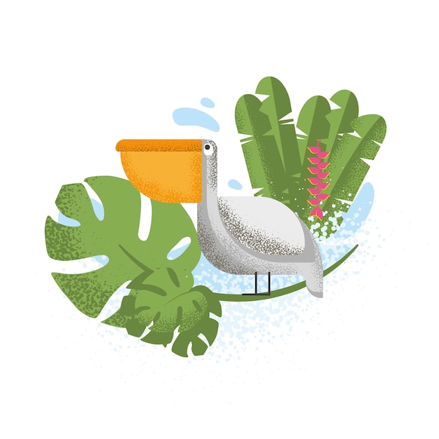 Pelikanvögel exotische pflanzen monstera wasser illustration für den druck