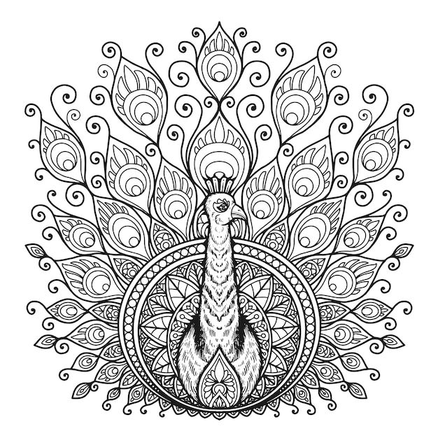 Pfau mandala design für malbuch