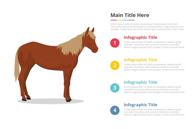 Pferd infografiken vorlage