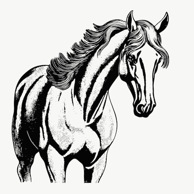 Pferdeskizze Handgezeichnete Illustration eines Pferdes